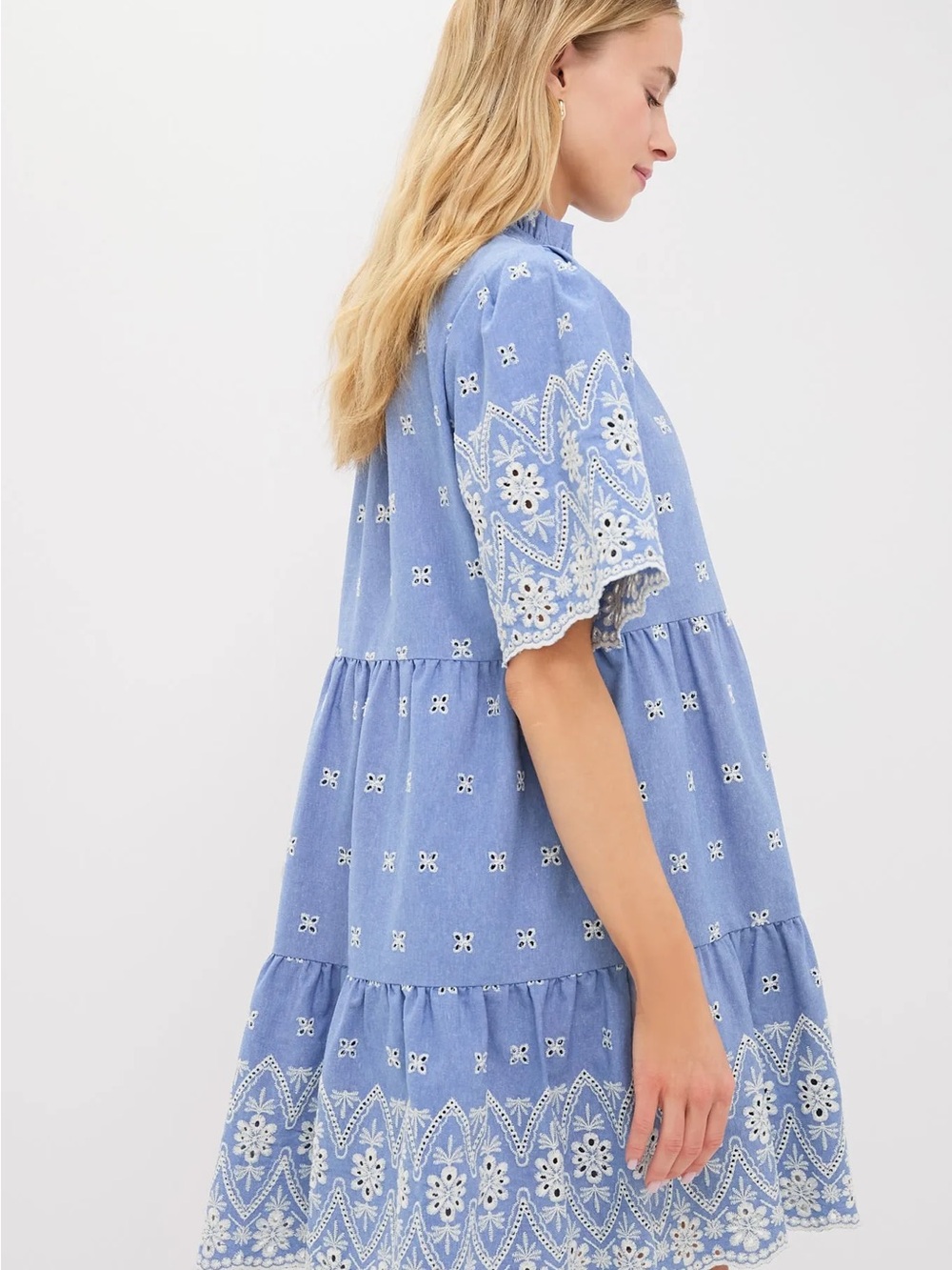 NWOT TUCKERNUCK Chambray Embroidered Crawford Dress - Picture 2 of 13